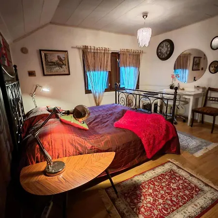 Villa Uittis, House In The Center Of Rovaniemi Korospohja