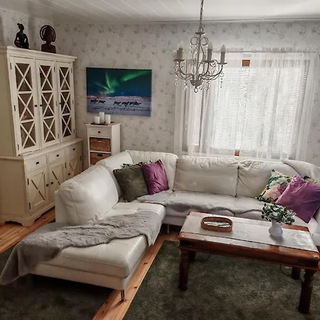 Uittis, House In The Center Of Rovaniemi *