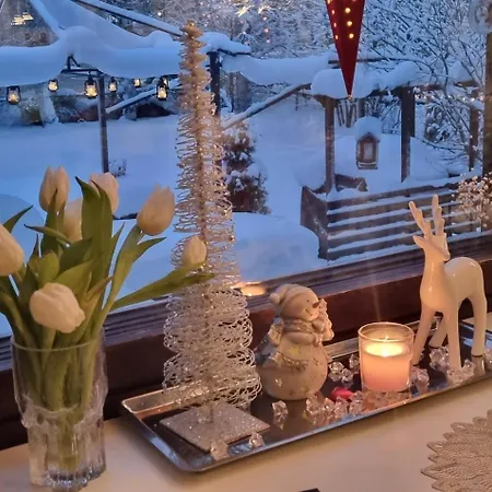 Villa Uittis, House In The Center Of Rovaniemi *