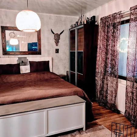 Uittis, House In The Center Of Rovaniemi *