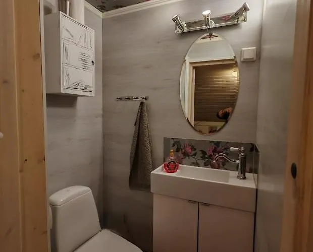 Uittis, House In The Center Of Rovaniemi *