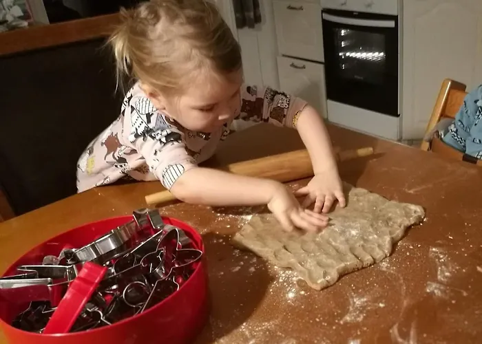 וילה Uittis, House In The Center Of Rovaniemi *